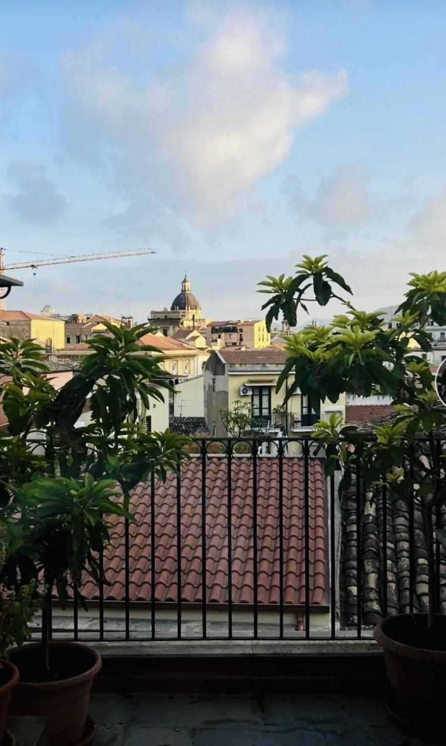 Spina Centro Storico Apartment Palermo